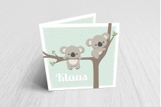 Schattige koalabeertjes